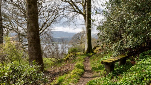 Bench with a view over Windermere Lake at Stagshaw Garden and Ambleside, Cumbria